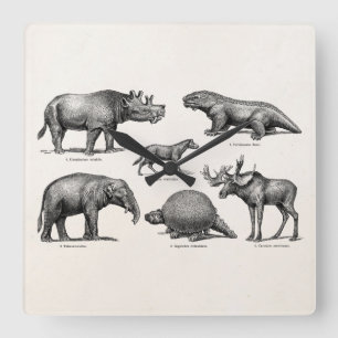  Dinosaur Illustratie Retro Old Dinosaurs Vierkante Klok