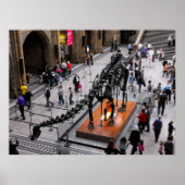 Dinosaur in het Natuurhistorisch museum Poster (Voorkant)