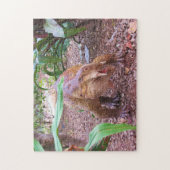 Dinosaur Jigzaag Puzzle - Placerias Legpuzzel (Verticaal)