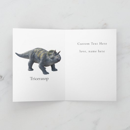 Dinosaur Jurassic Oerwoud Kaart (Binnen)