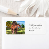 Dinosaur Kentrosaurus Etiket (Insitu)