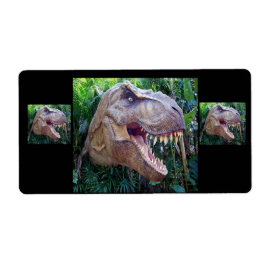 Dinosaur-labels voor kinderen etiket