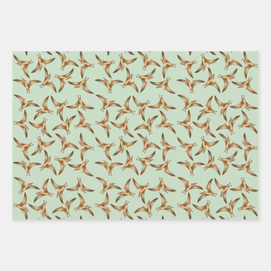 Dinosaur Love Wrapping Paper Flat Sheet Set van 3 (Voorkant 2)