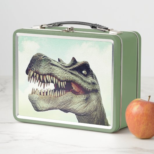 Dinosaur Lunchbox (In situ)
