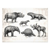  Dinosaur Old Illustration Retro Dinosaurs Foto Afdruk (Voorkant)