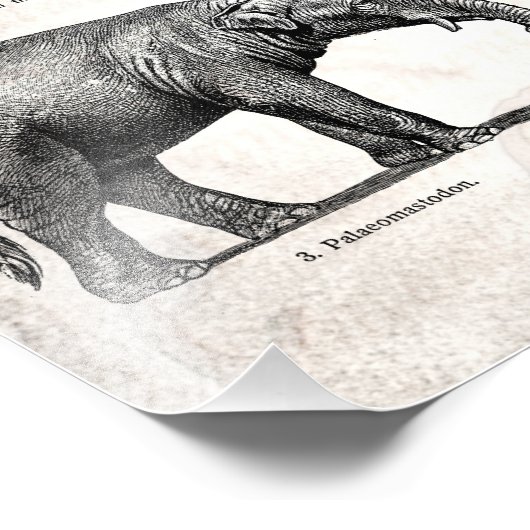  Dinosaur Old Illustration Retro Dinosaurs Foto Afdruk (Hoek)