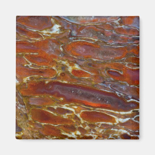 Dinosaur Petrified Bone Magneet (Voorkant)