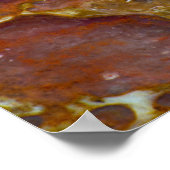 Dinosaur Petrified Bone Poster (Hoek)