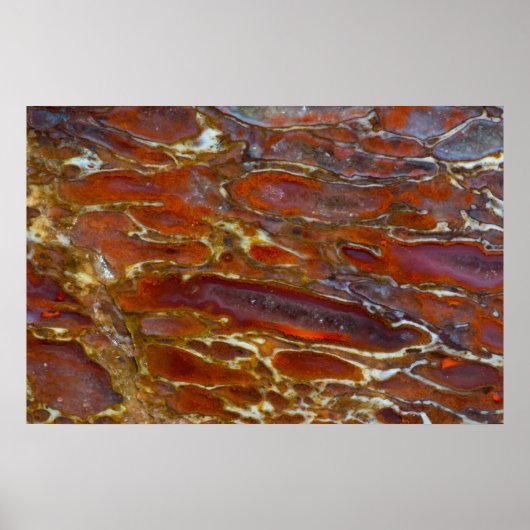 Dinosaur Petrified Bone Poster (Voorkant)