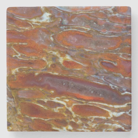 Dinosaur Petrified Bone Stenen Onderzetter (Voorkant)