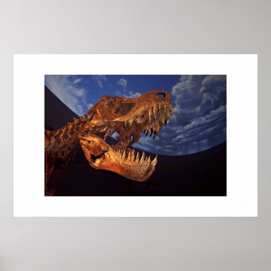 Dinosaur Poster (Voorkant)