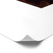 Dinosaur Poster (Hoek)