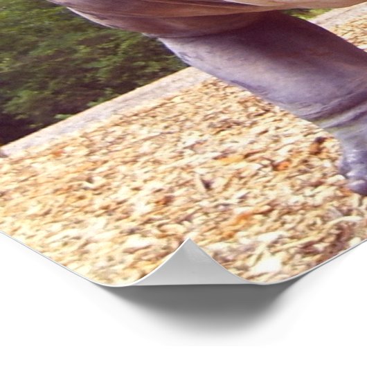 Dinosaur Poster (Hoek)