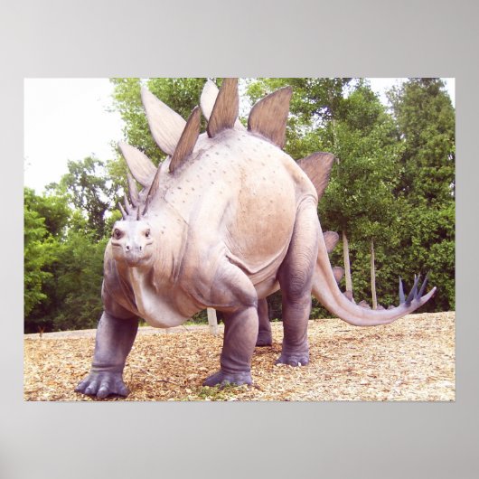 Dinosaur Poster (Voorkant)