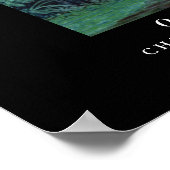 Dinosaur Poster Omeisaurus Gregory Paul (Hoek)