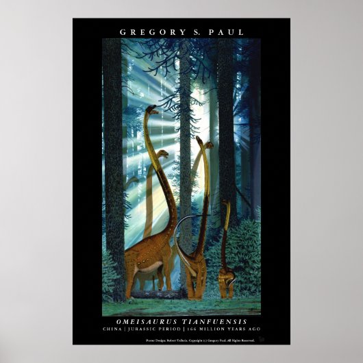 Dinosaur Poster Omeisaurus Gregory Paul (Voorkant)