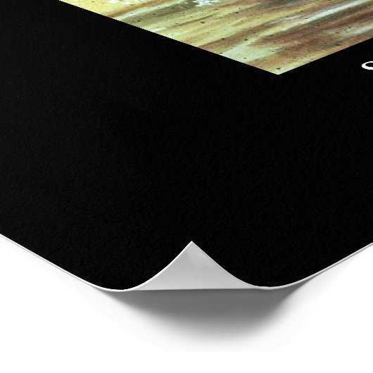 Dinosaur Poster Styracosaurs Gorgosaurus Greg Paul (Hoek)