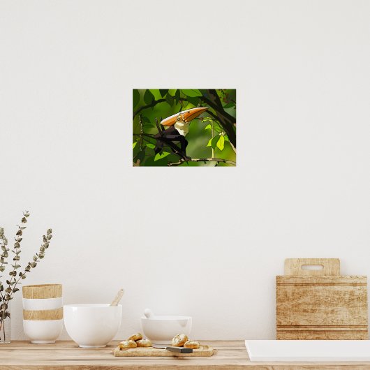 Dinosaur Poster - Thalassodromeus Toucan (Keuken)