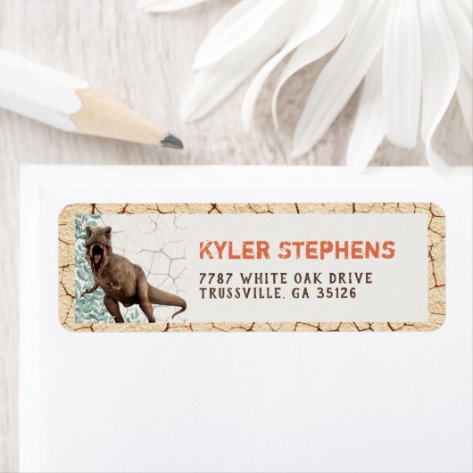 Dinosaur Return Address Labels (Insitu)