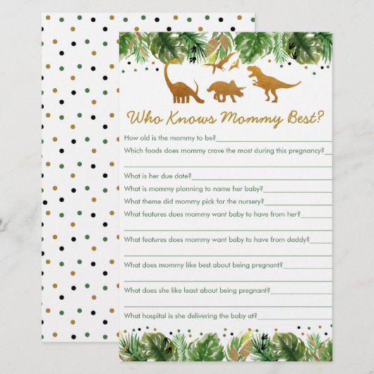 Dinosaur Safari die mama het beste spel kent (Voorkant / Achterkant)