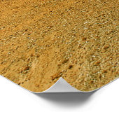 Dinosaur Sand Castle Sculptures Dinostory Poster (Hoek)