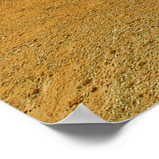 Dinosaur Sand Castle Sculptures Dinostory Poster (Hoek)