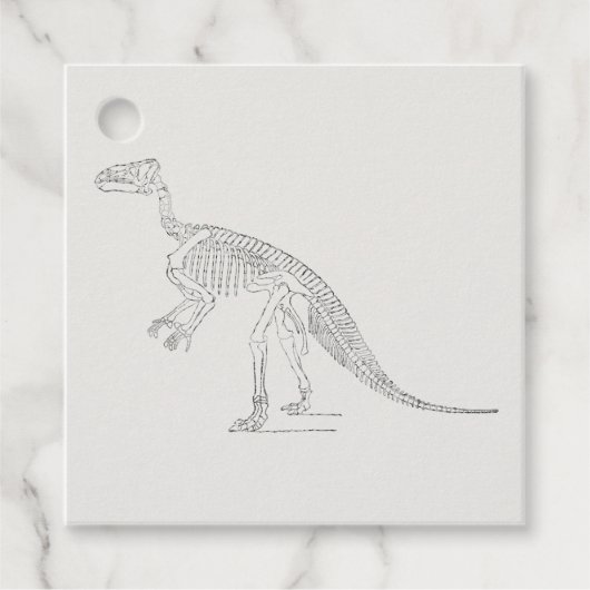 Dinosaur Skeleton Art Bedankjes Labels (Voorkant)