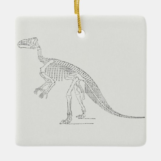 Dinosaur Skeleton Art Keramisch Ornament (Voorkant)
