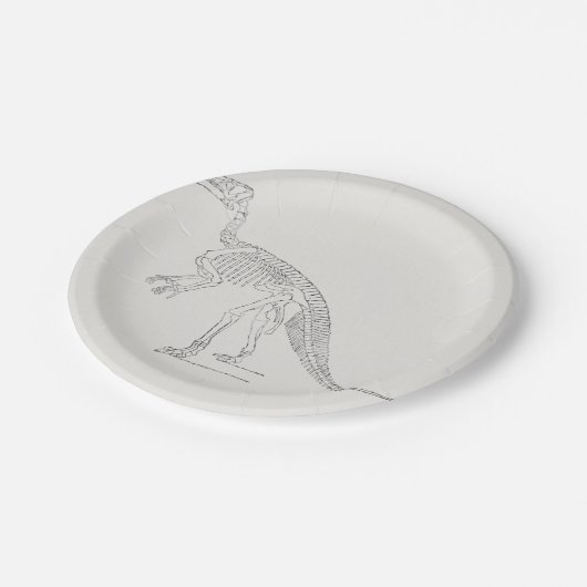 Dinosaur Skeleton Art Papieren Bordje (Gekanteld)