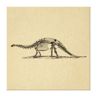 Dinosaur Skeleton  kunst