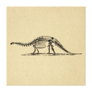 Dinosaur Skeleton  kunst Canvas Afdruk