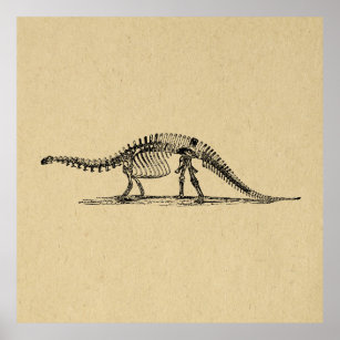 Dinosaur Skeleton  kunst Poster