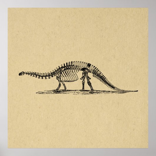 Dinosaur Skeleton  kunst Poster (Voorkant)