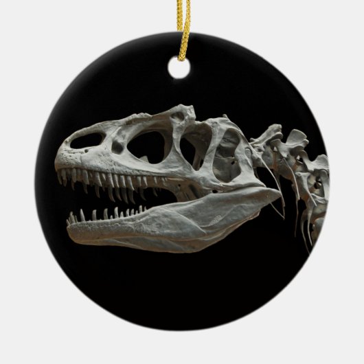 Dinosaur Skeleton Ornament (Voorkant)