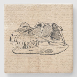Dinosaur Skull Illustratie en Antiek Script Paper Stenen Onderzetter