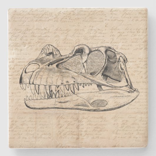 Dinosaur Skull Illustratie en Antiek Script Paper Stenen Onderzetter (Voorkant)