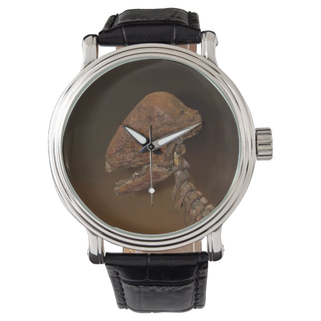 Dinosaur Skull T-Rex Dino Skeleton Horloge (Voorkant)