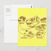 Dinosaur Skulls Briefkaart (Voorkant / Achterkant)