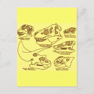 Dinosaur Skulls Briefkaart
