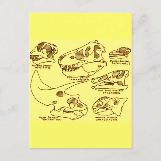 Dinosaur Skulls Briefkaart (Voorkant)
