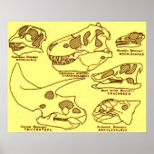 Dinosaur Skulls Poster (Voorkant)