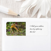 Dinosaur Spinosaurus Etiket (Insitu)