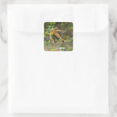 Dinosaur Spinosaurus Vierkante Sticker (Tas)