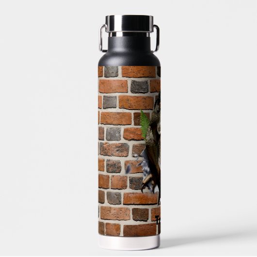 Dinosaur T-Rex Busting Out Personalize Name Waterfles (Voorkant)