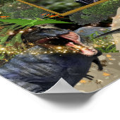 Dinosaur T-rex DIY-fotojongens meteorietvlammen Poster (Hoek)