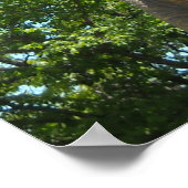 Dinosaur T-Rex Poster (Hoek)