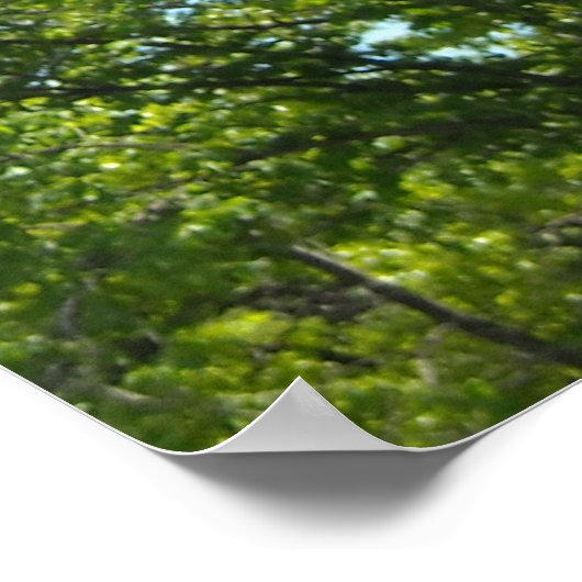 Dinosaur T-Rex Poster (Hoek)