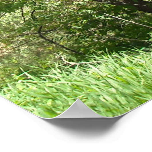 Dinosaur T-Rex Poster (Hoek)