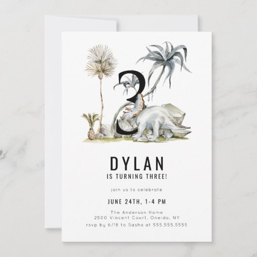 Dinosaur Theme 3rd Birthday Party Kaart (Voorkant)