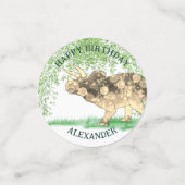 Dinosaur Thmed Birthday Party Confetti (Kleine voorkant)